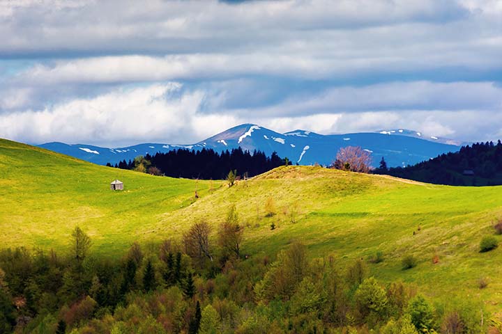 Natural Capital webinar