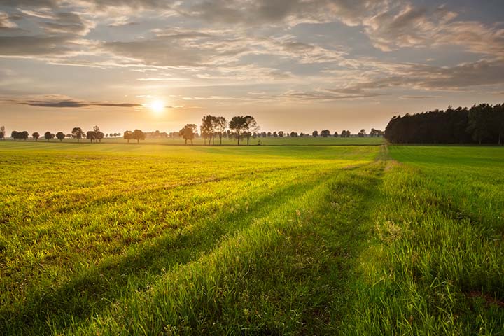 From Star Gazing to Forest Bathing – diversifying traditional farming through Eco-Tourism