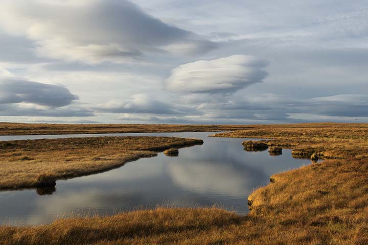 Change in the Scottish rural land market and responsible investment in natural capital