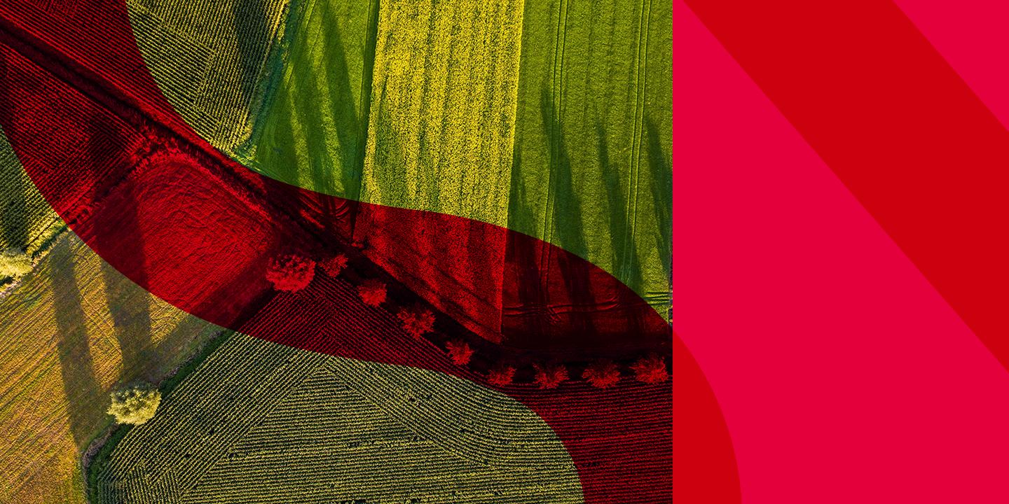 Agriculture’s Transition to Net Zero