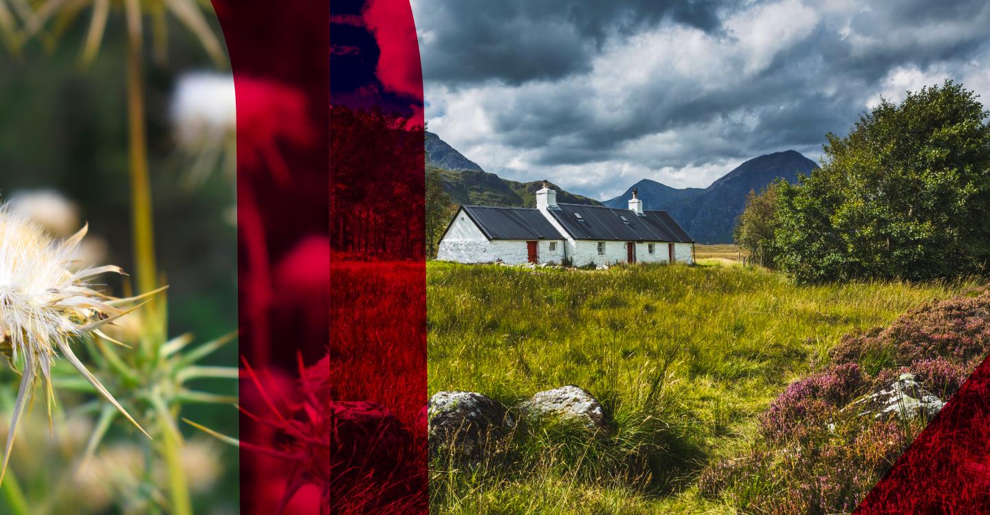 Housing (Scotland) Bill: What rural landlords need to know at stage 2