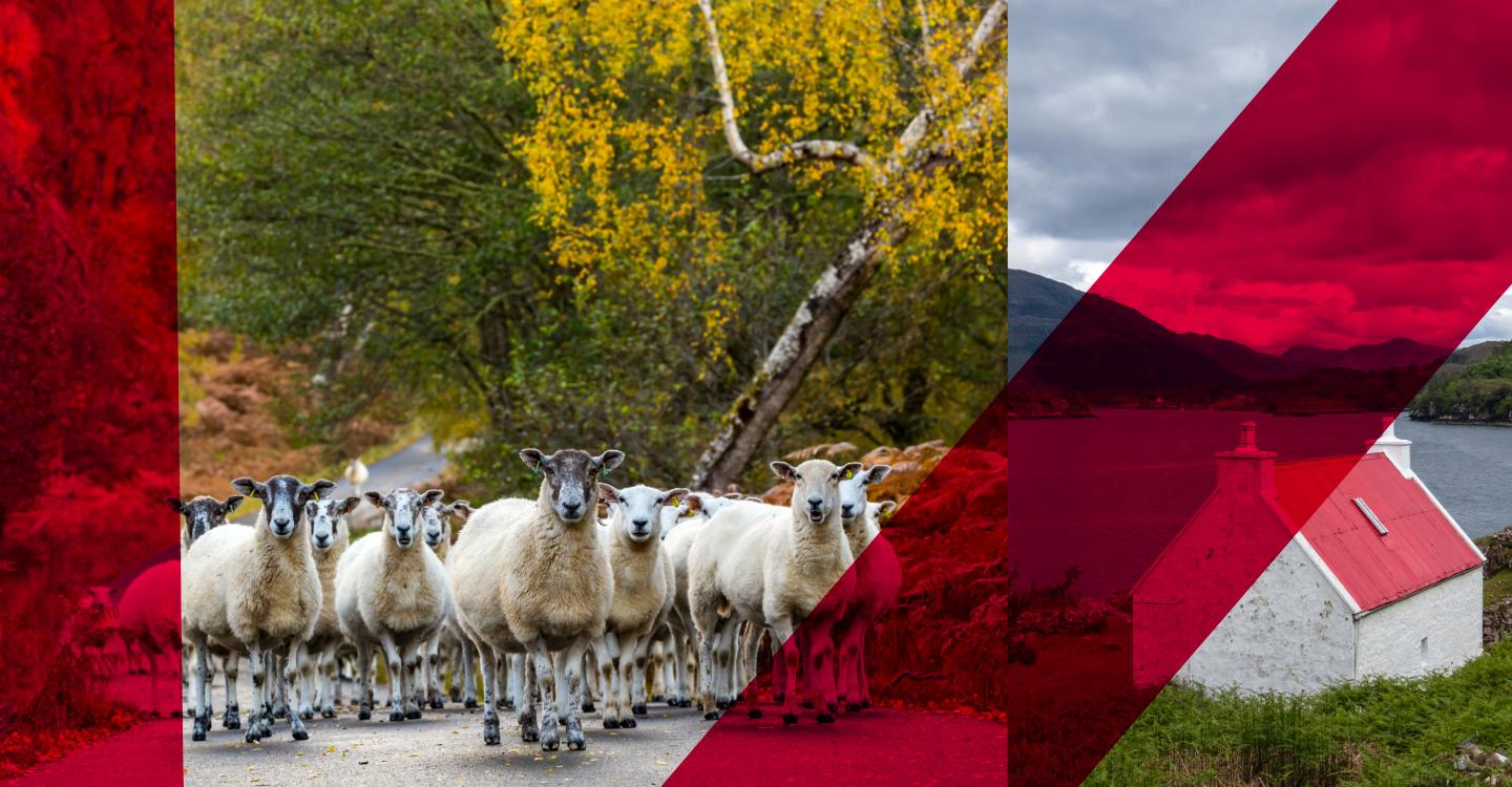 The Register of Persons Holding a Controlled Interest in Land (RCI) – What you need to remember