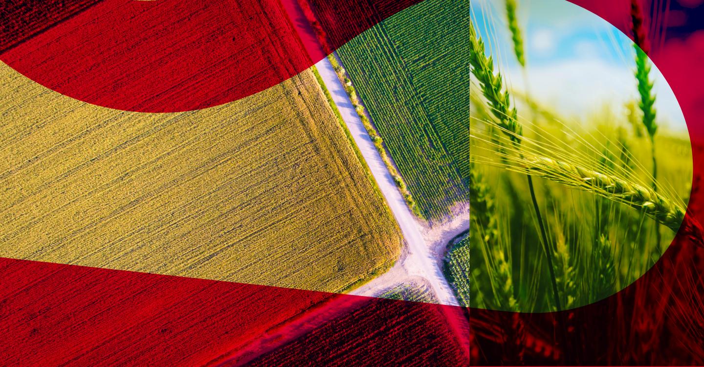 Is the family farm at risk when you or one of your business partners walks down aisle?
