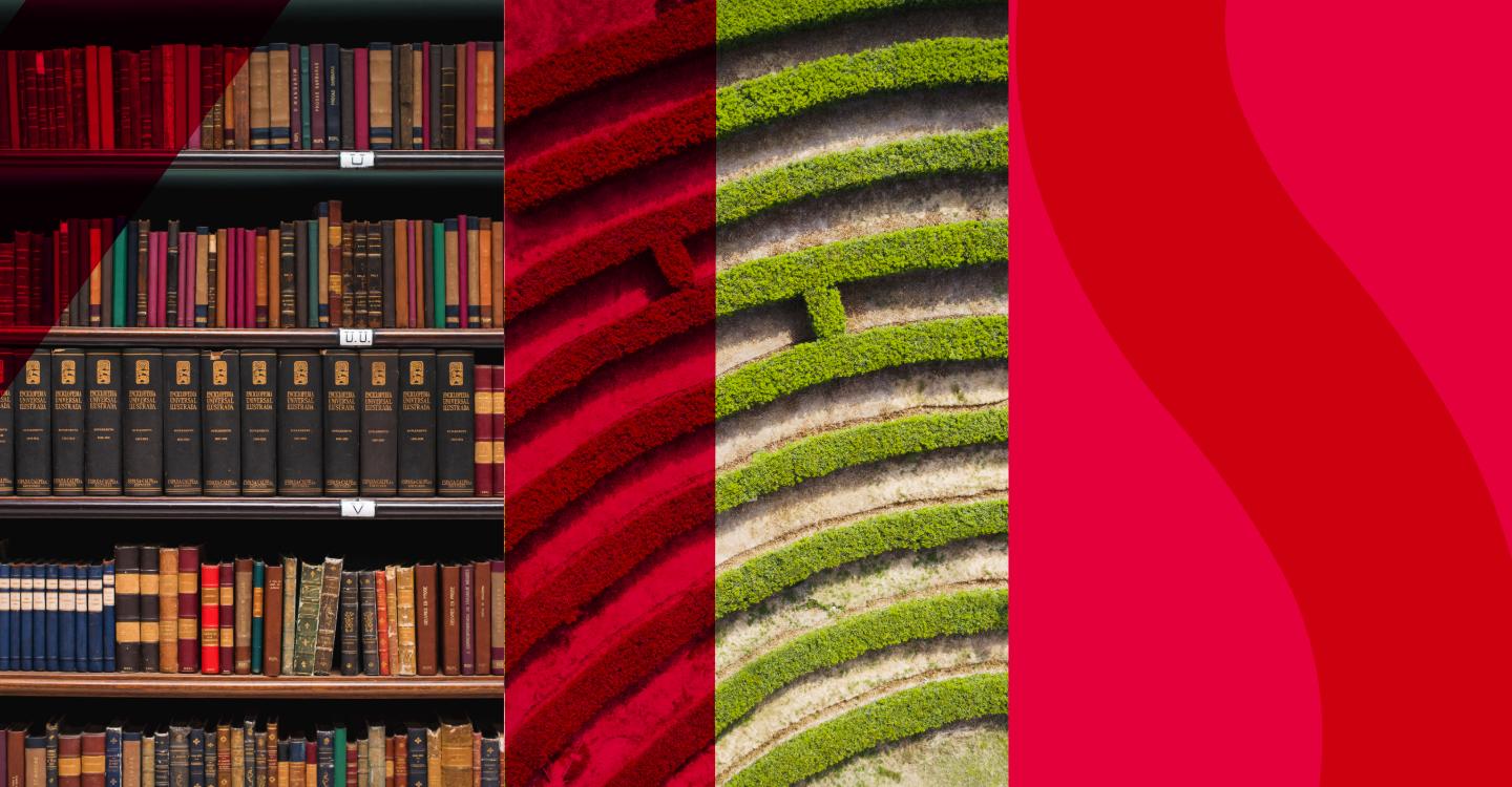 Data protection and Intellectual Property disputes in Scotland: Key considerations for English businesses
