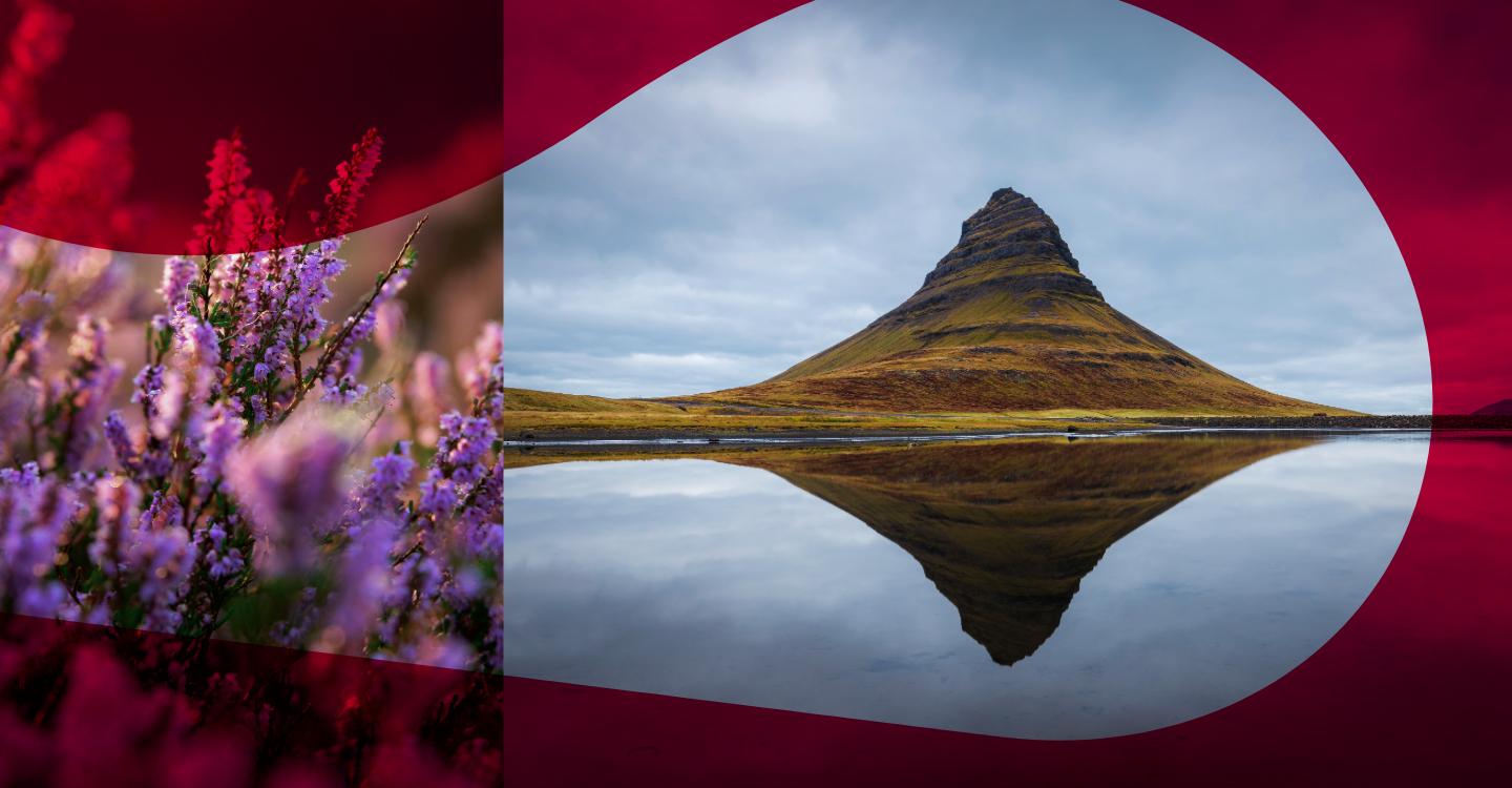 Finding common ground: INEOS FPS LTD v Scottish Environment Protection Agency