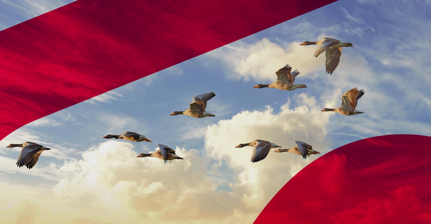 Deconstructing Skilled Worker Visa changes: What they mean for the hospitality sector