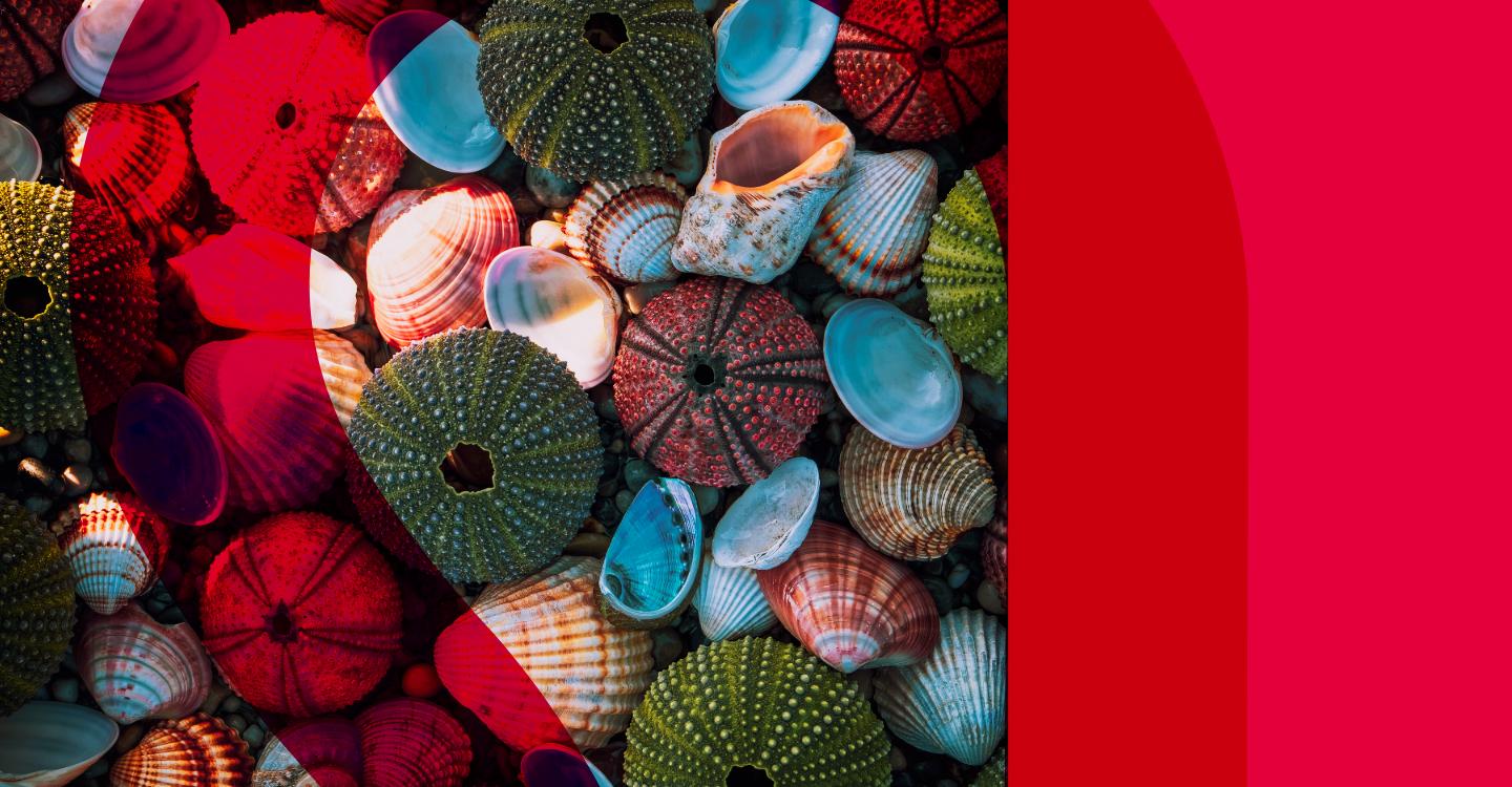 Content creators should act swiftly to protect their assets