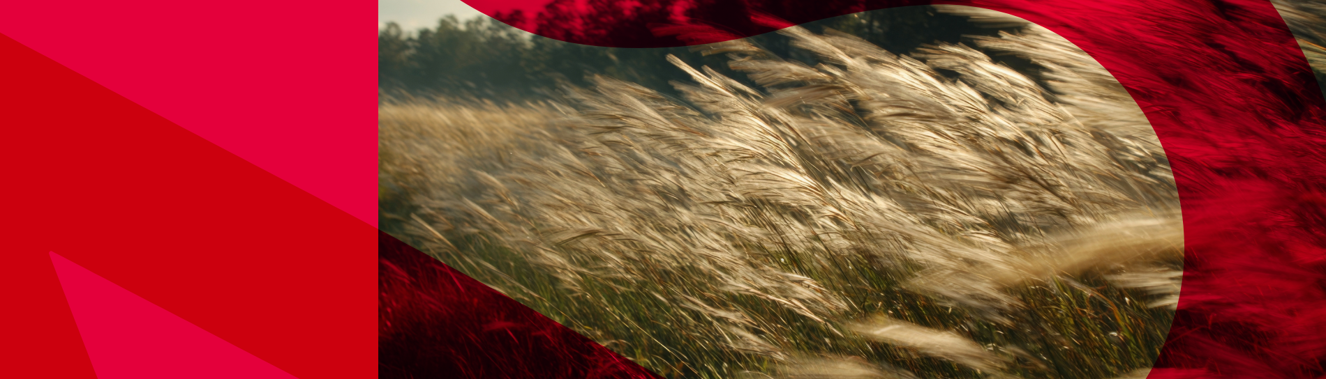 Untitled-6-Companies House Impact on your business_