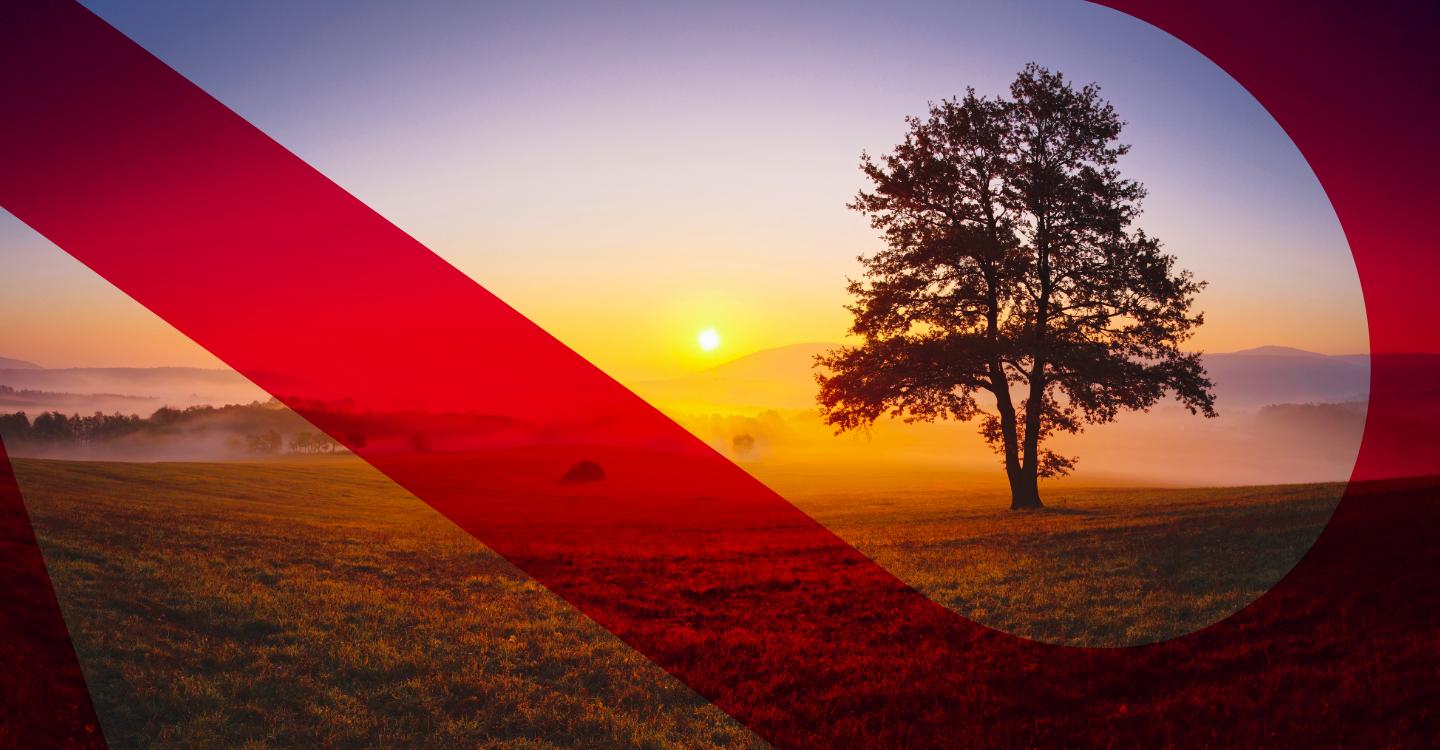 Rural succession: What to do in the event of a farmer’s death