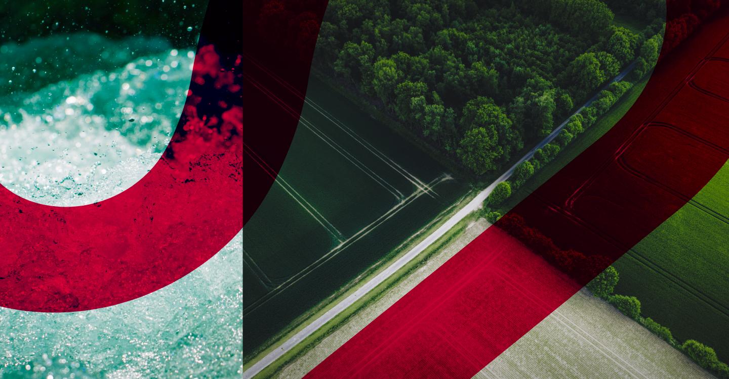 Repowering Britain: How grid reform is driving the clean energy transition