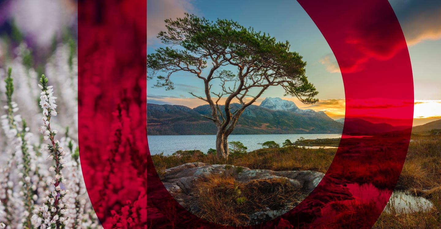 The Land Reform (Scotland) Bill: New rules for land management and sale