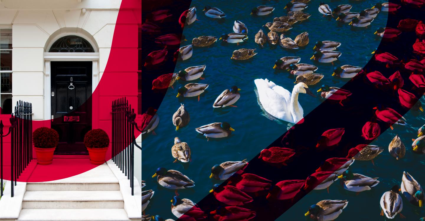 Failure to prevent fraud: Implications for the property sector