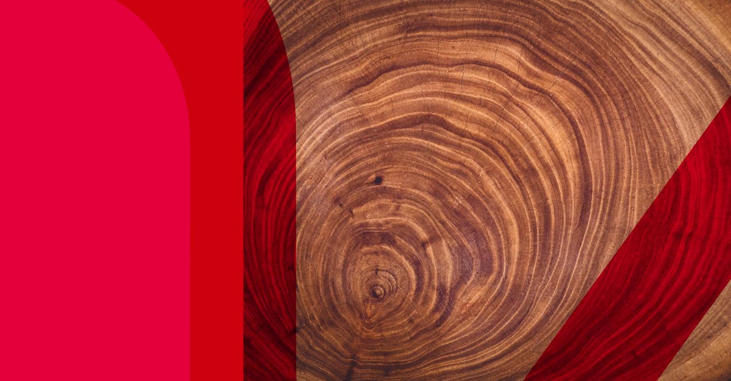 Lifetime Gifting and New Year’s Resolutions: A strategic approach to Inheritance Tax