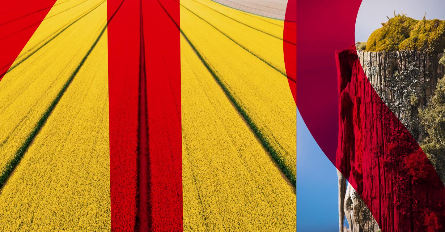 Boundary Disputes and Servitude Rights: What Rural Landowners Need to Know