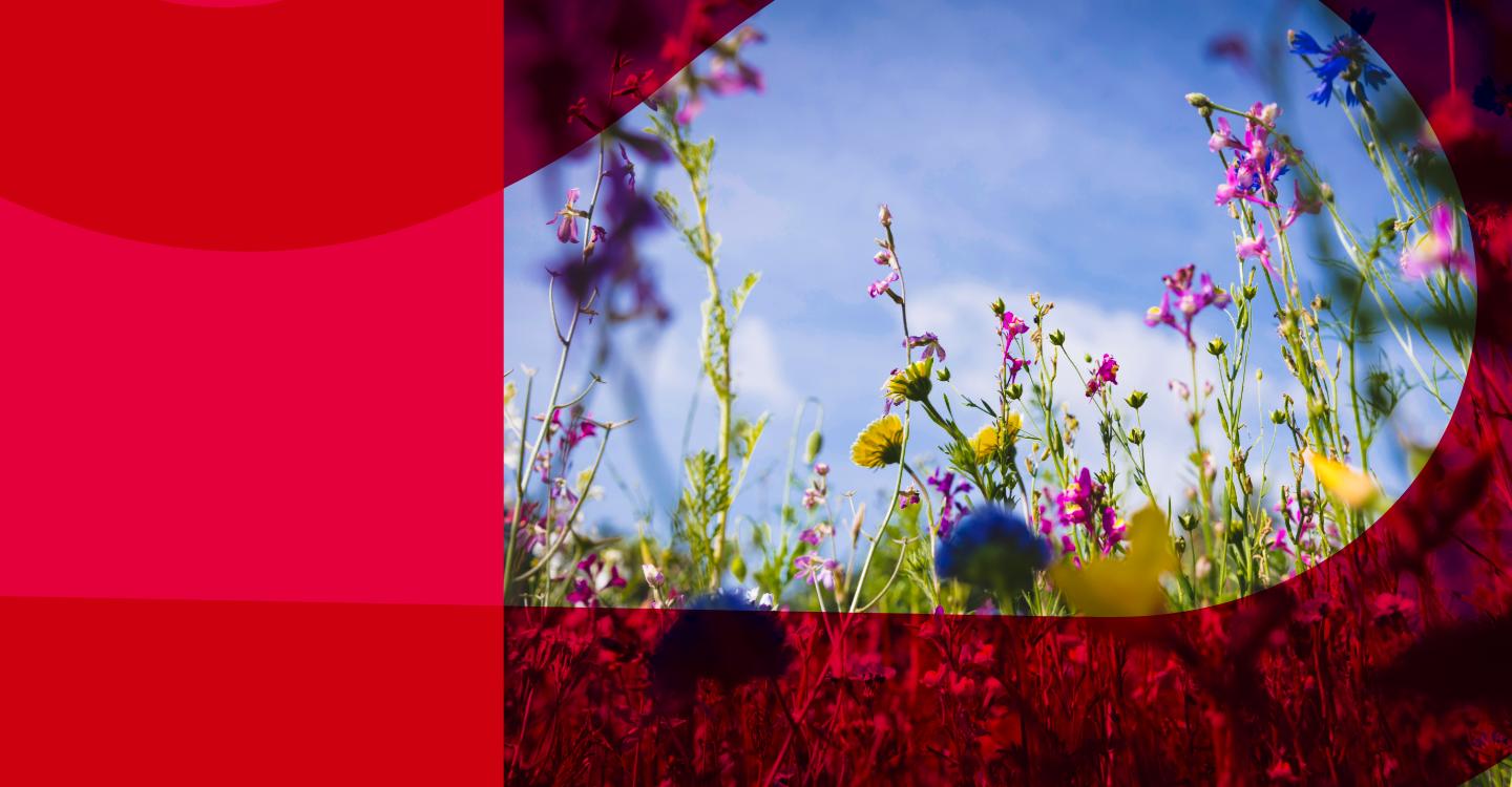 More than just sticks and stones – accent discrimination in the workplace