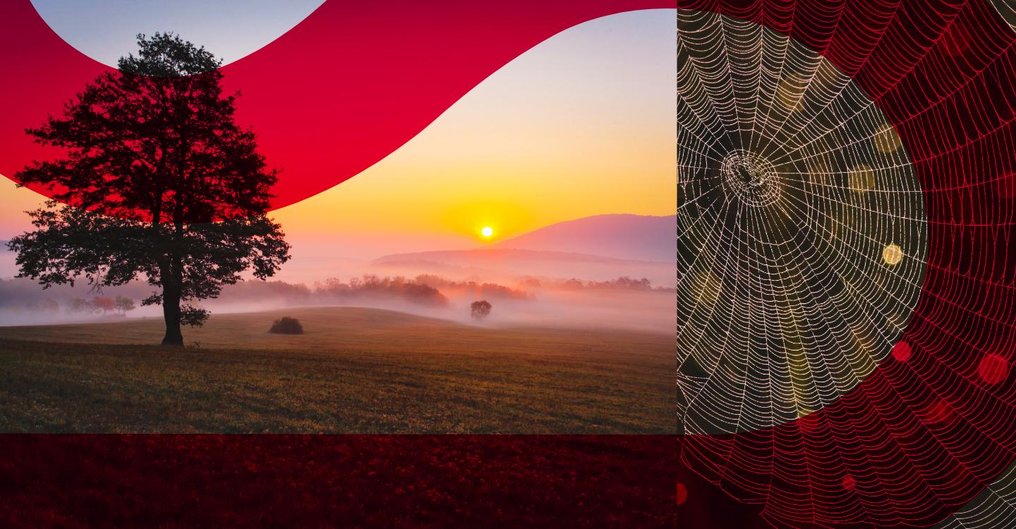 Employment Act 2025 – what this means for employers in 2026