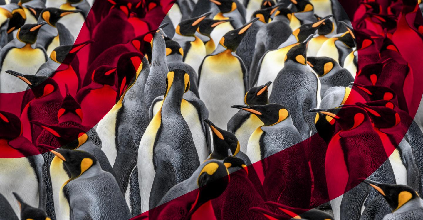 Why Managers Need Better Neurodiversity Training