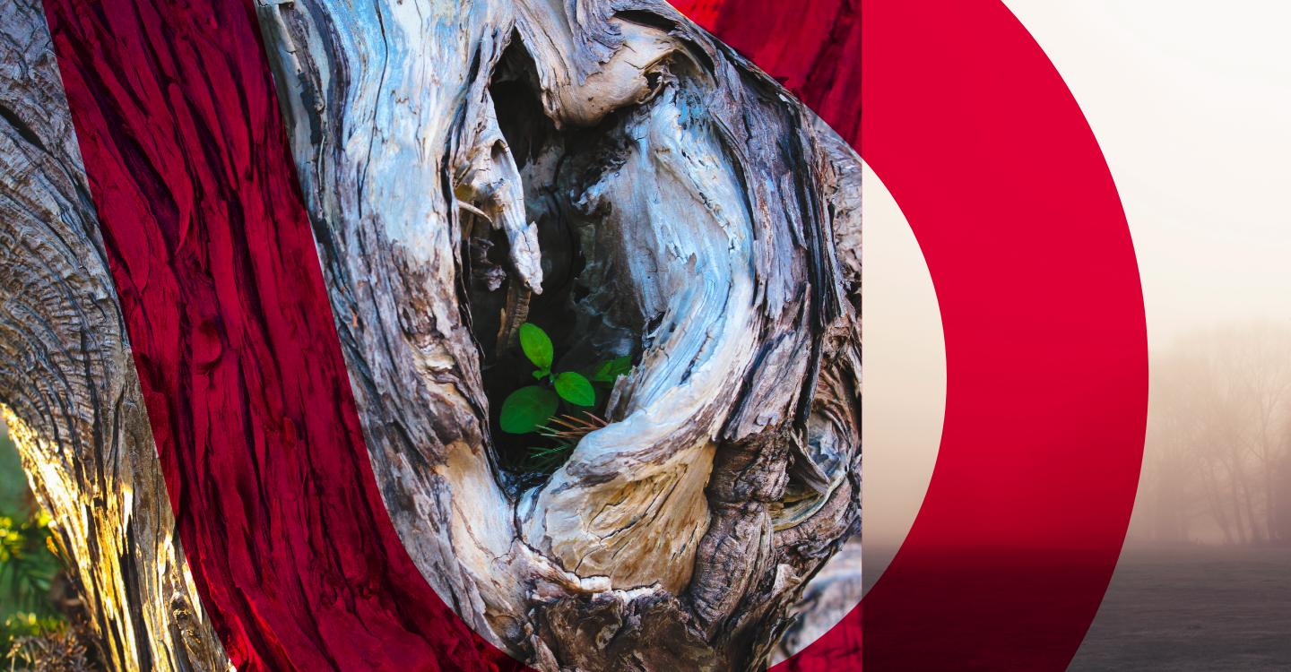 Are Trusts Still Worth It? Why They Remain a Powerful Planning Tool