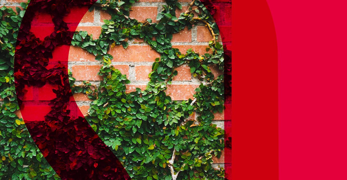 What happens to your pension when you divorce?