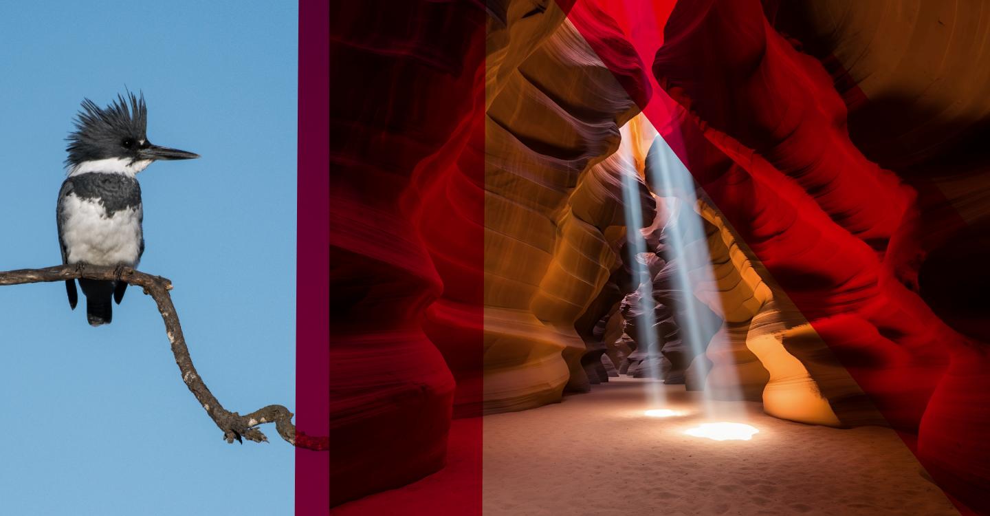 Changes are coming to how work-related injuries, ill health and dangerous occurrences are reported