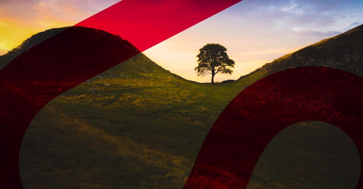 Expanding horizons: Our English property capabilities for rural clients