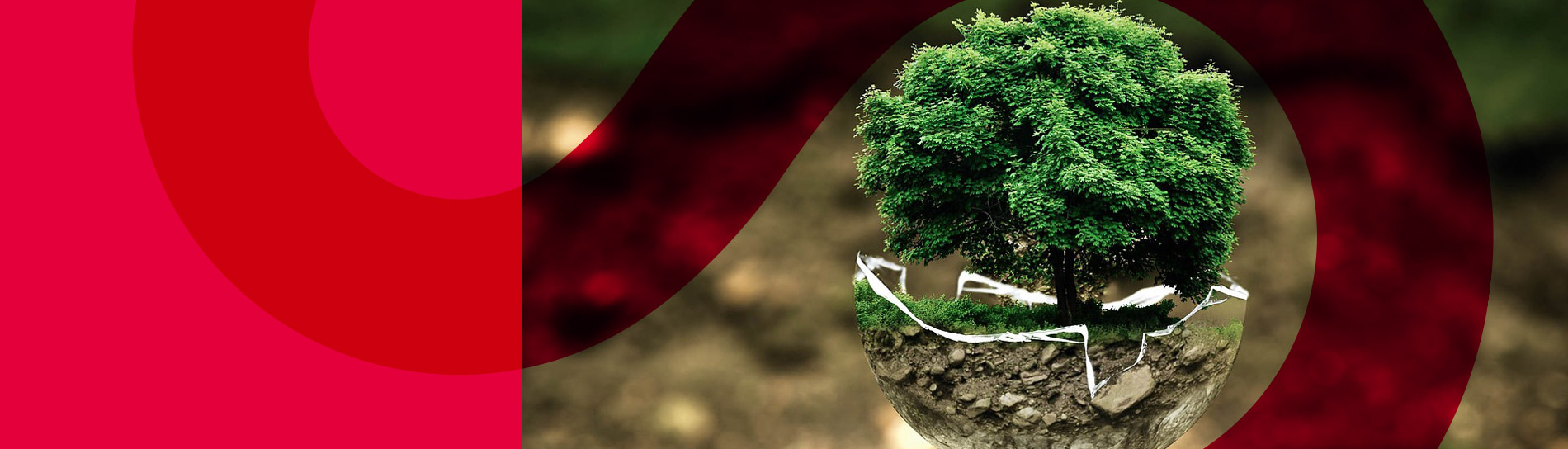 Our Net Zero Mission