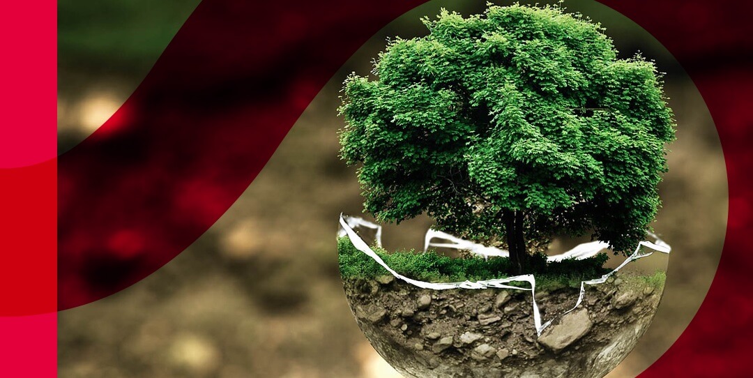 Our Net Zero Mission