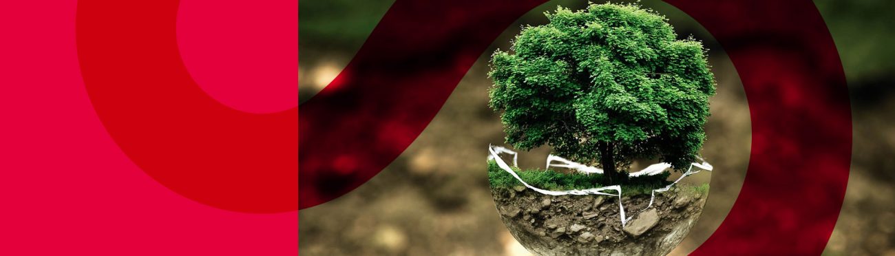 Our Net Zero Mission